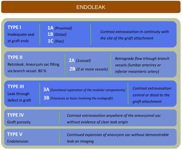 endoleak-type-ic-and-ruptured-abdominal-aortic-aneurysm-2.png